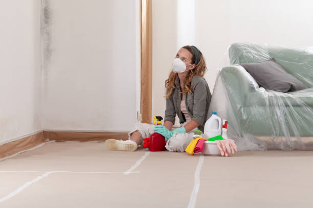 Reliable Mold Remediation contractor in Washington, PA by WQB Mold Removal